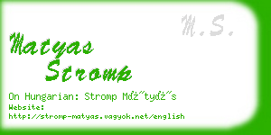 matyas stromp business card